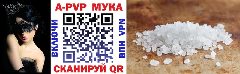мориарти телеграм Касимов А ПВП крисы CK
