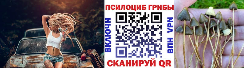 ссылка на мегу как зайти  Касимов  Галлюциногенные грибы мухоморы 
